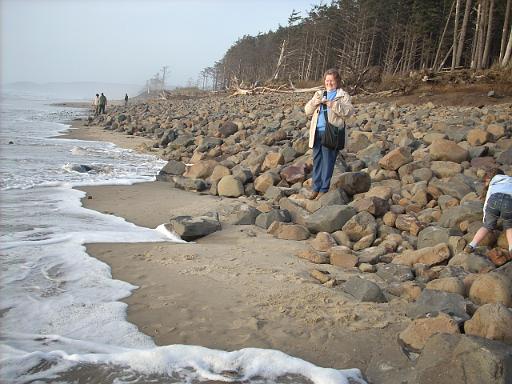 Oregon coast 053.jpg - Safe on the rocks